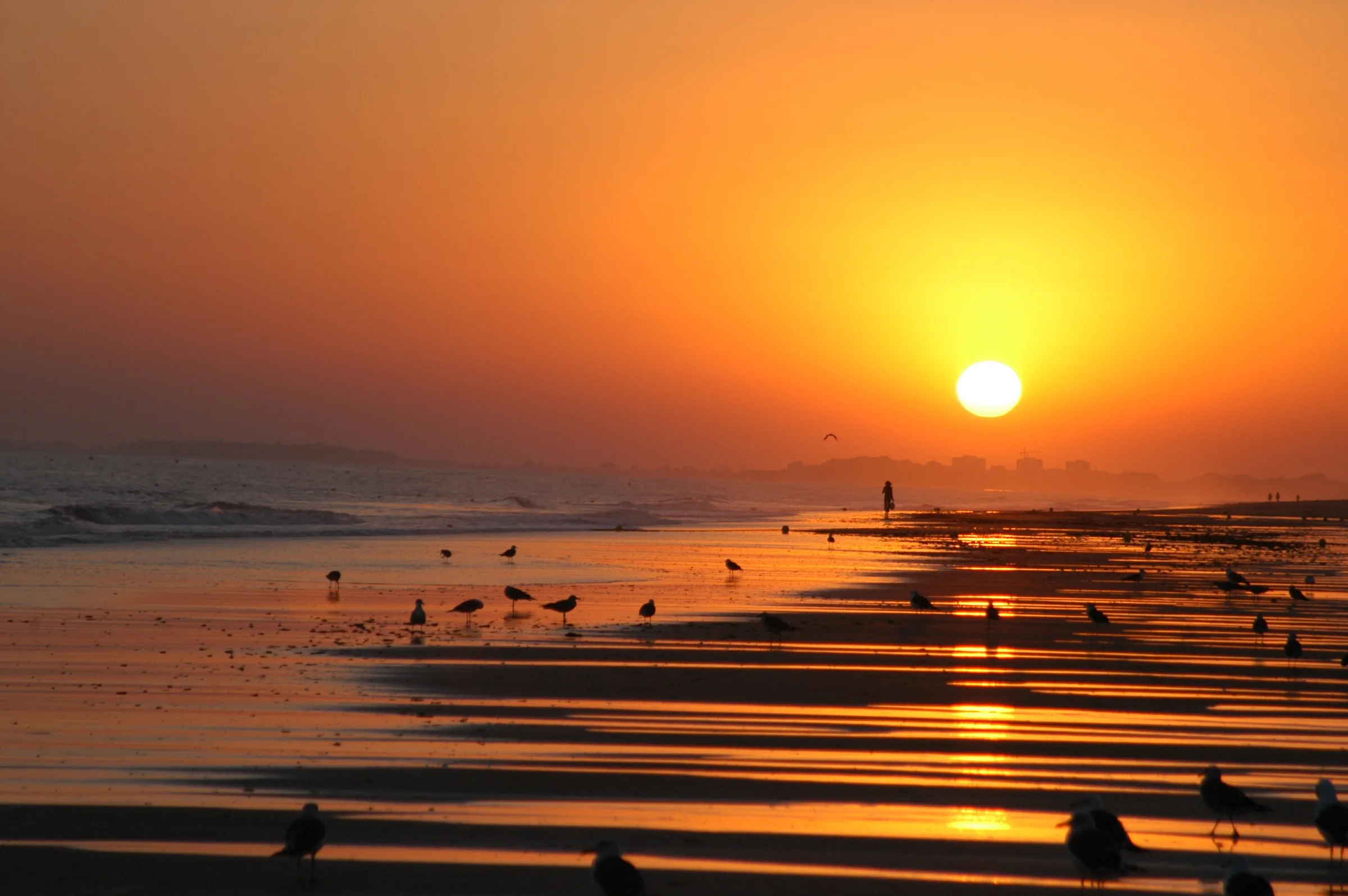 Atardecer naranja sobre la playa de Isla Cristina: el sol bajo, la marea baja y gaviotas a contraluz en la orilla.